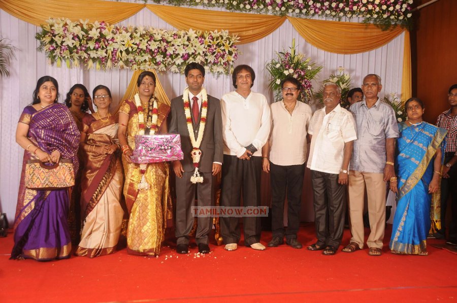 Chozha Ponnurangam Daughter Wedding Reception 3612