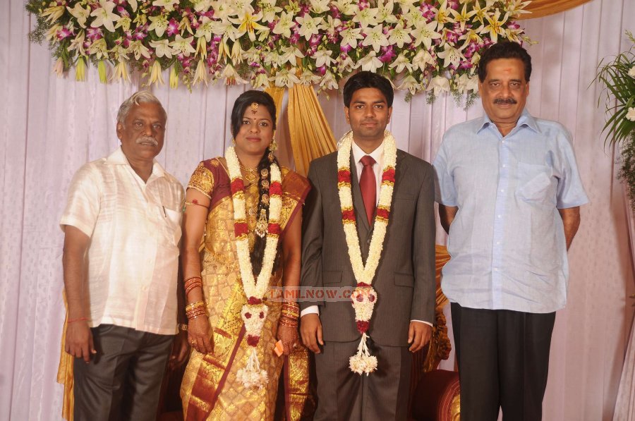 Chozha Ponnurangam Daughter Wedding Reception 5460