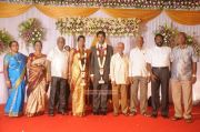 Chozha Ponnurangam Daughter Wedding Reception 6955