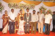 Chozha Ponnurangam Daughter Wedding Reception 7816