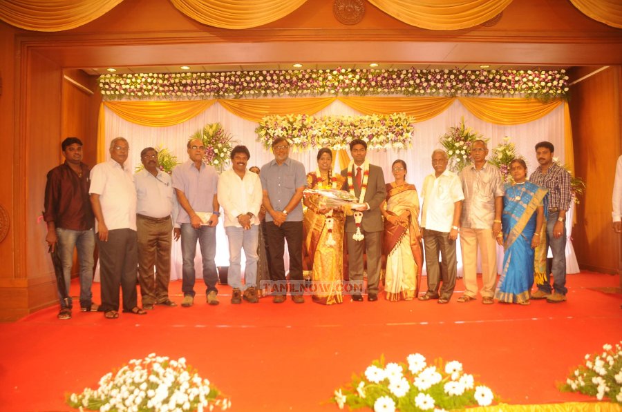 Chozha Ponnurangam Daughter Wedding Reception 8196