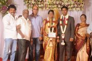 Chozha Ponnurangam Daughter Wedding Reception 8489