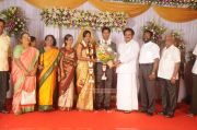 Chozha Ponnurangam Daughter Wedding Reception 8569