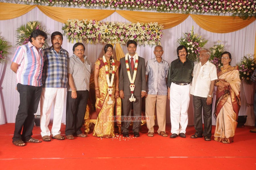 Chozha Ponnurangam Daughter Wedding Reception 9173