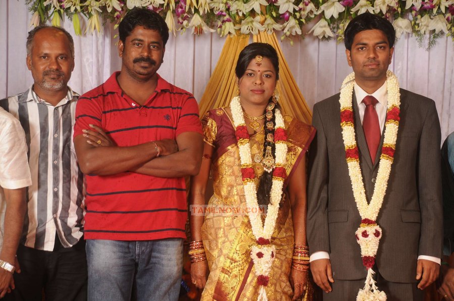 Chozha Ponnurangam Daughter Wedding Reception 9543