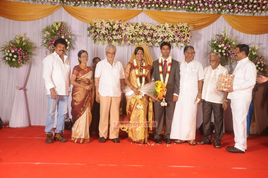 Chozha Ponnurangam Daughter Wedding Reception Photos 1642