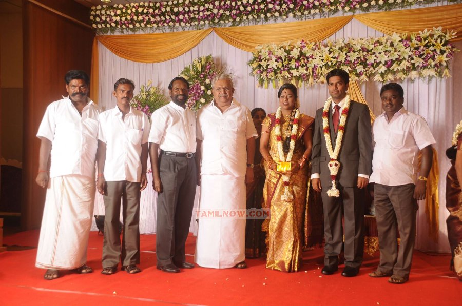 Chozha Ponnurangam Daughter Wedding Reception Photos 5981