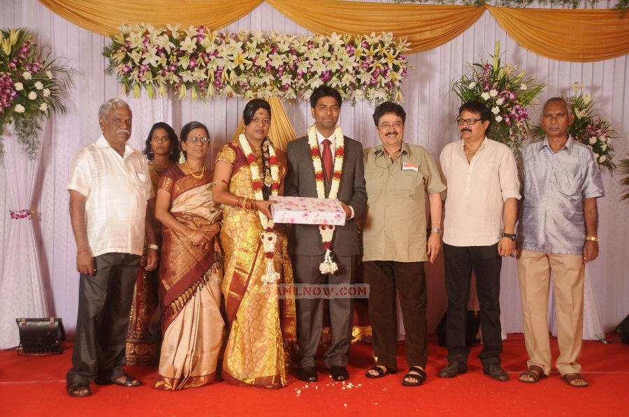 Chozha Ponnurangam Daughter Wedding Reception Photos 7665