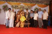 Chozha Ponnurangam Daughter Wedding Reception Photos 8964