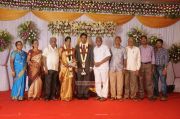 Chozha Ponnurangam Daughter Wedding Reception Photos 9722