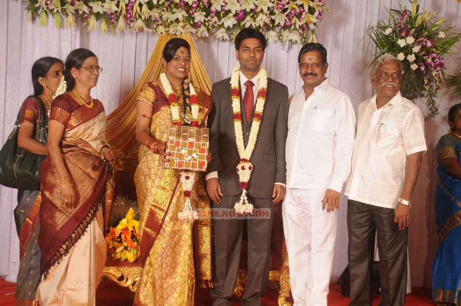 Chozha Ponnurangam Daughter Wedding Reception Stills 4763