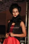 Cifw 2012 Day 1 Ramesh Dembla Show 192