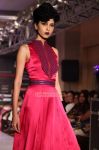 Cifw 2012 Day 1 Ramesh Dembla Show 8955