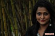 Remya Nambeesan At Damaal Dumeel Press Meet 338