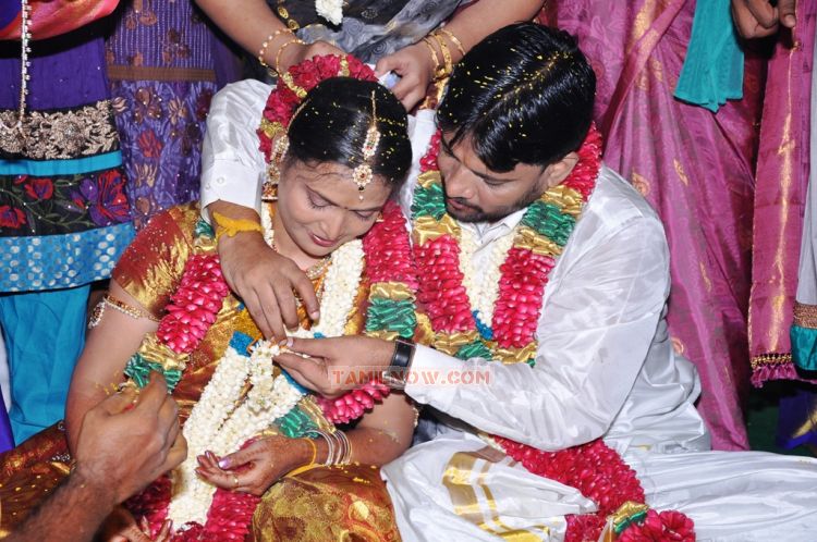 Director Chimbudevan Wedding 4397