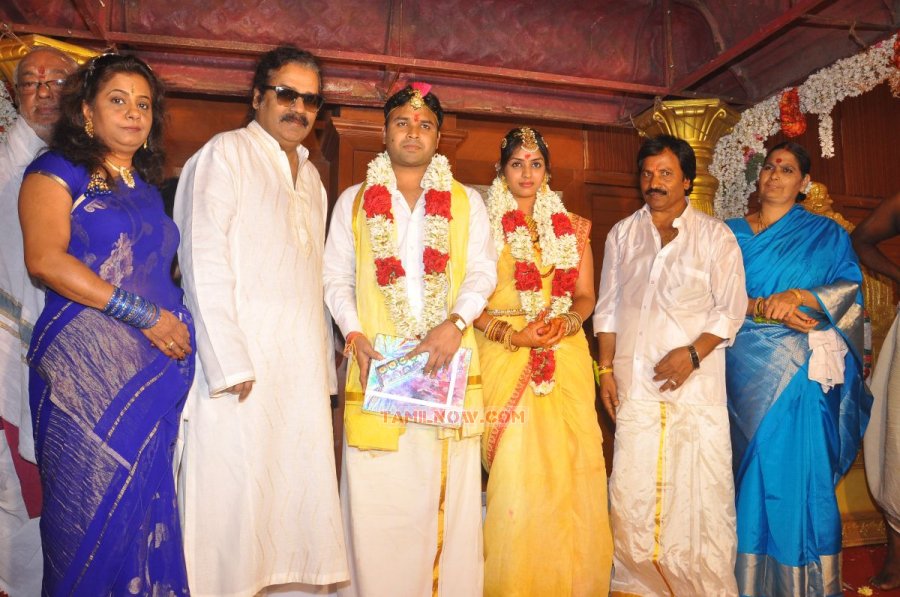 Director Jothikrishna Aishwarya Wedding 7728