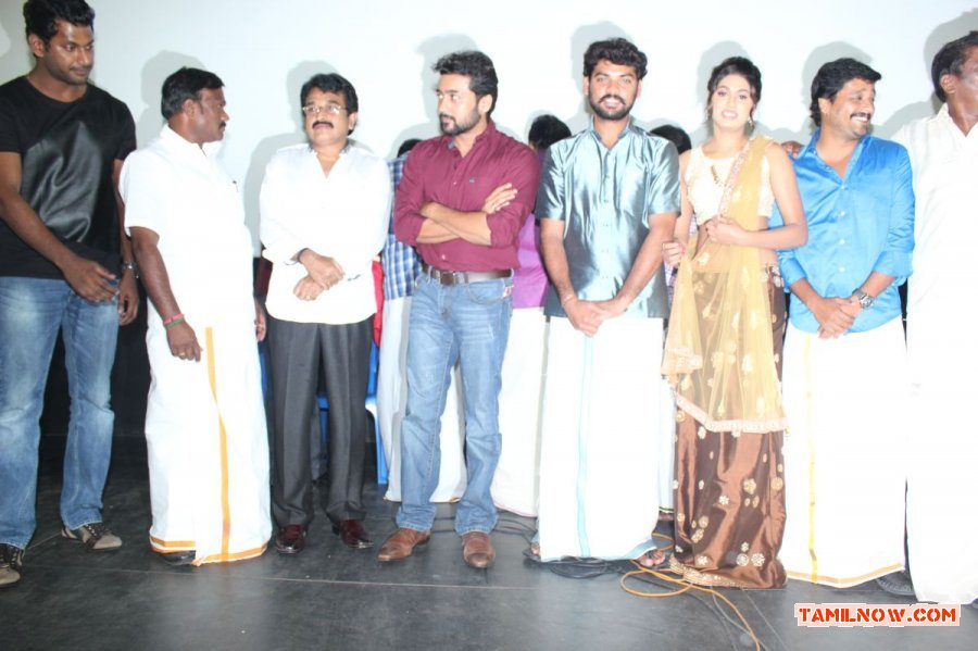 Jannal Oram Audio Launch 7660