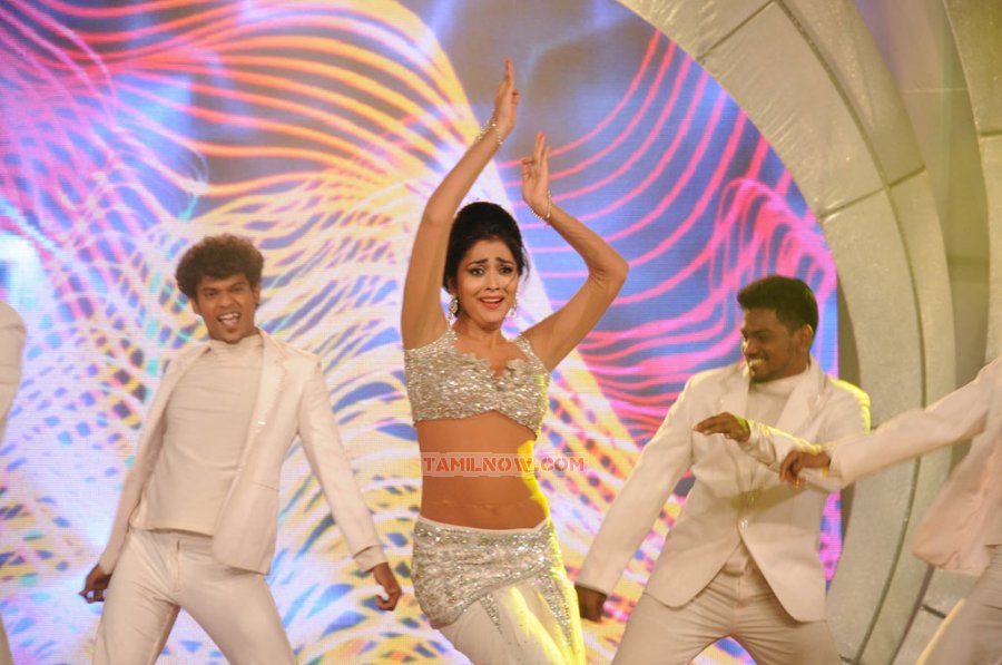 Shriya Saran 351