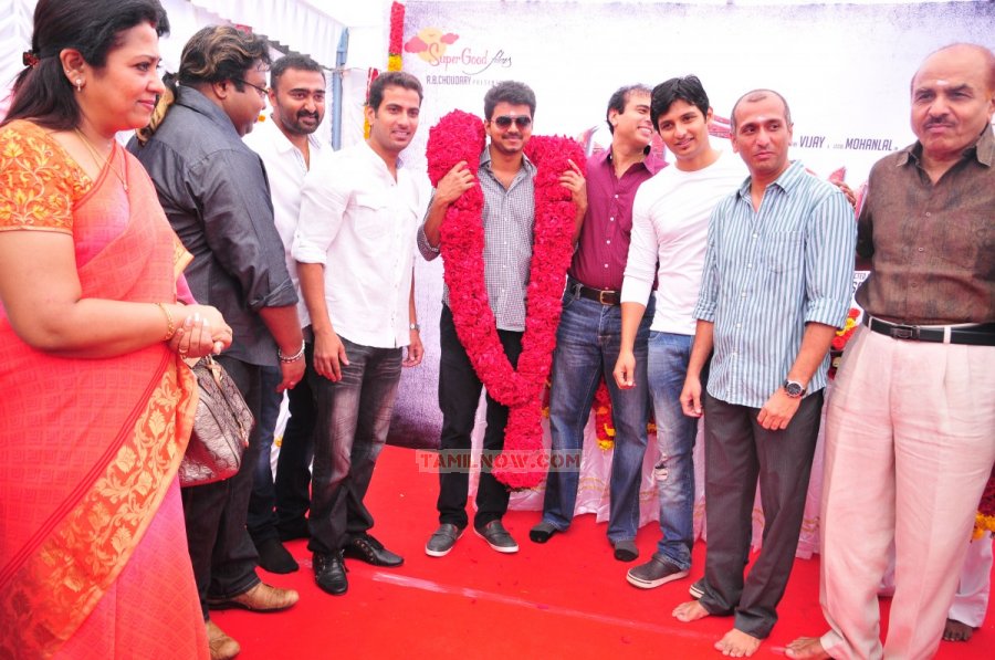 Jilla Movie Launch Stills 1910