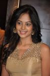 Actress Bindhu Madhavi 70