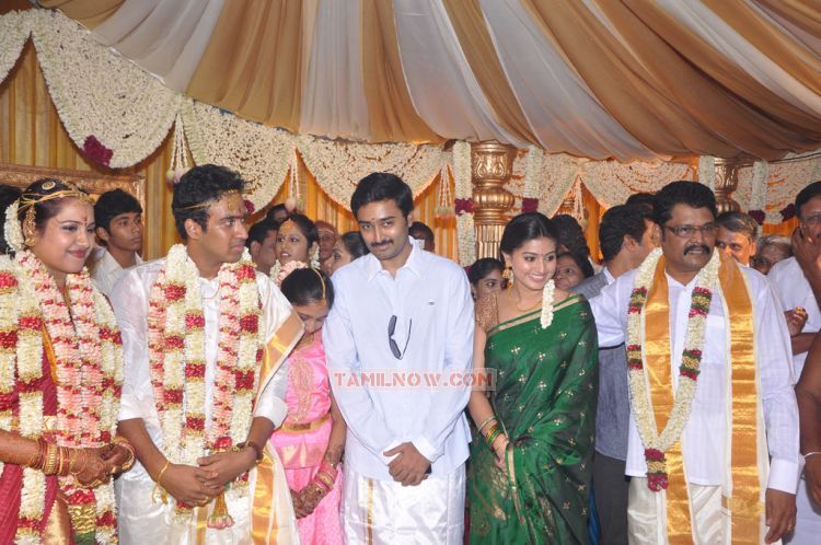 Ks Ravikumar Daughter Marriage Photos 6279