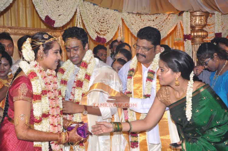 Ks Ravikumar Daughter Marriage Photos 8946