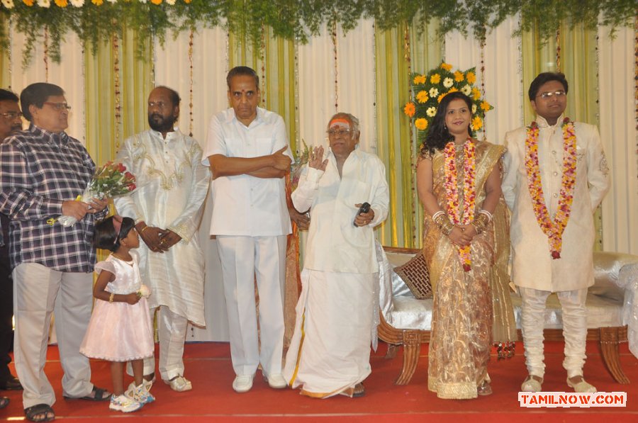 Lyricist Piraisudan Daughter Wedding Reception Stills 9664