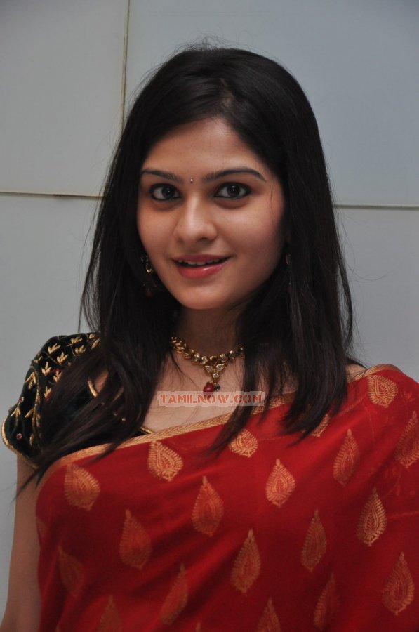 Mathil Mel Poonai Audio Launch 1399