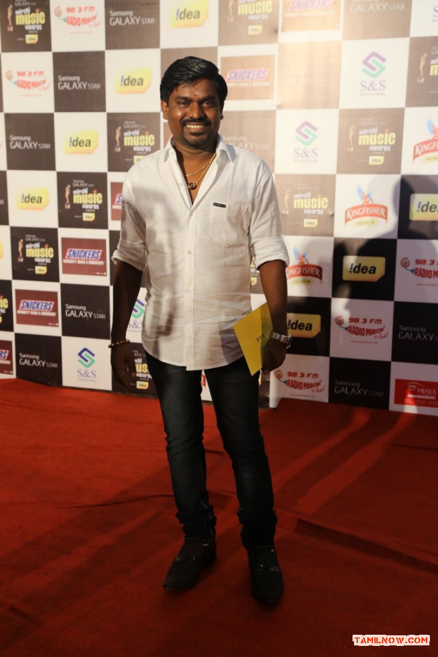 Mirchi Awards 2013 Photos 7243