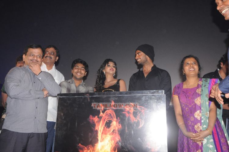 Muppozhudhum Un Karpanaigal Audio Launch Stills 1440