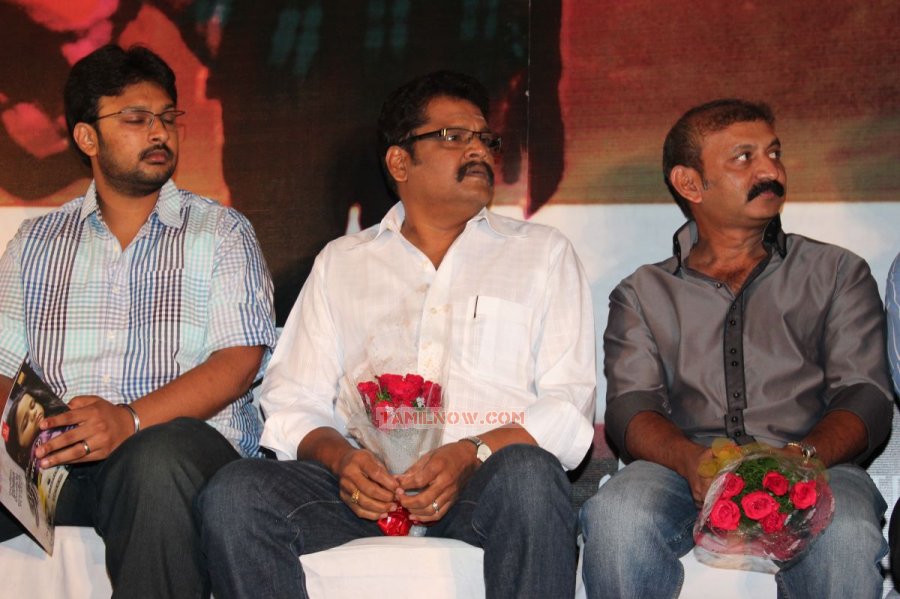 Nirnayam Audio Launch 1343