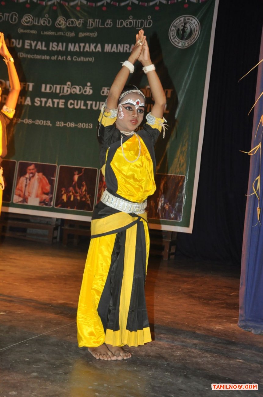 Odisha State Cultural Festival 2503