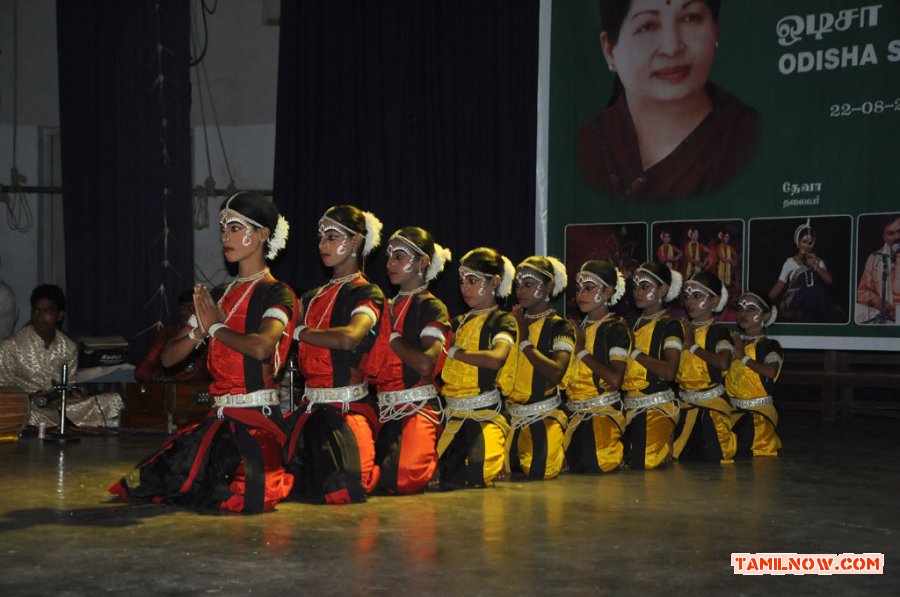 Odisha State Cultural Festival 4976