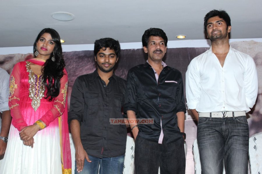 Paradesi Audio Launch 7478