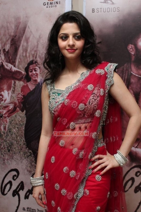 Paradesi Audio Launch 7848