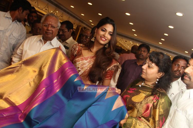 Parvathy Omanakuttan Launches Kovai Palam Silks 5639