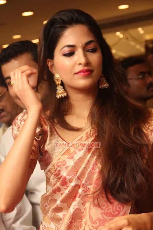 Parvathy Omanakuttan Launches Kovai Palam Silks 6841