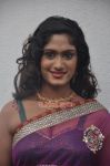 Lavanya In Sari Hot Still 220