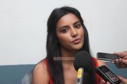 Priya Anand At English Vinglish Press Show 7503