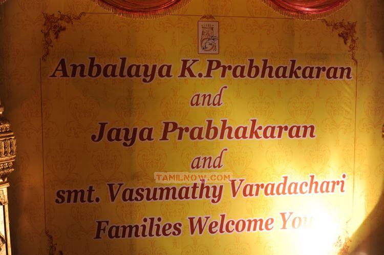 Producer Anbalaya Prabhakaran Son Wedding Reception Stills 2479