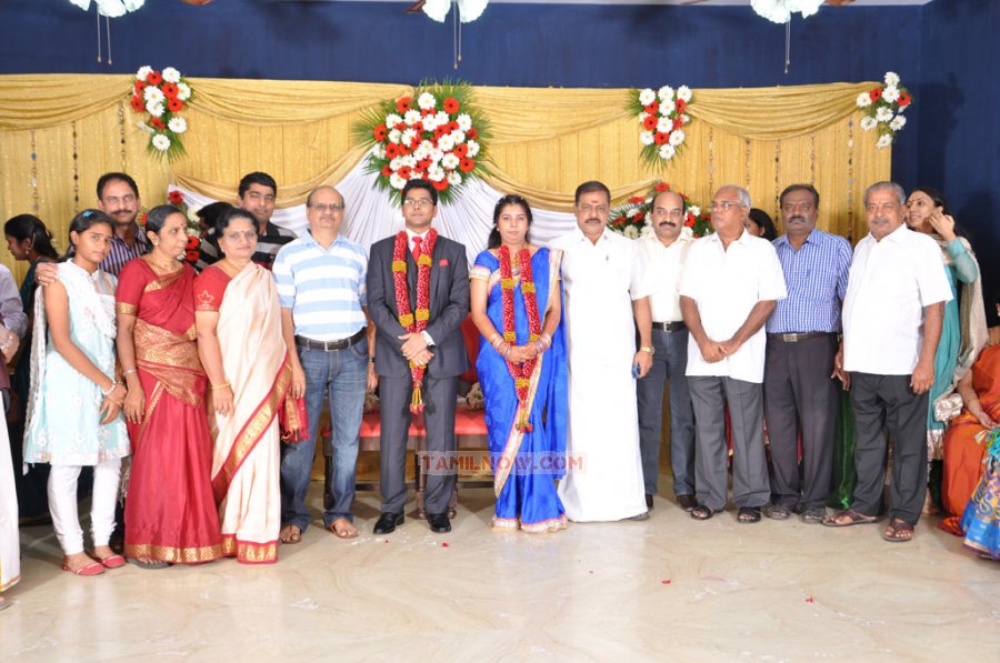 Producer M Ramanathan Daughter Reception 7141