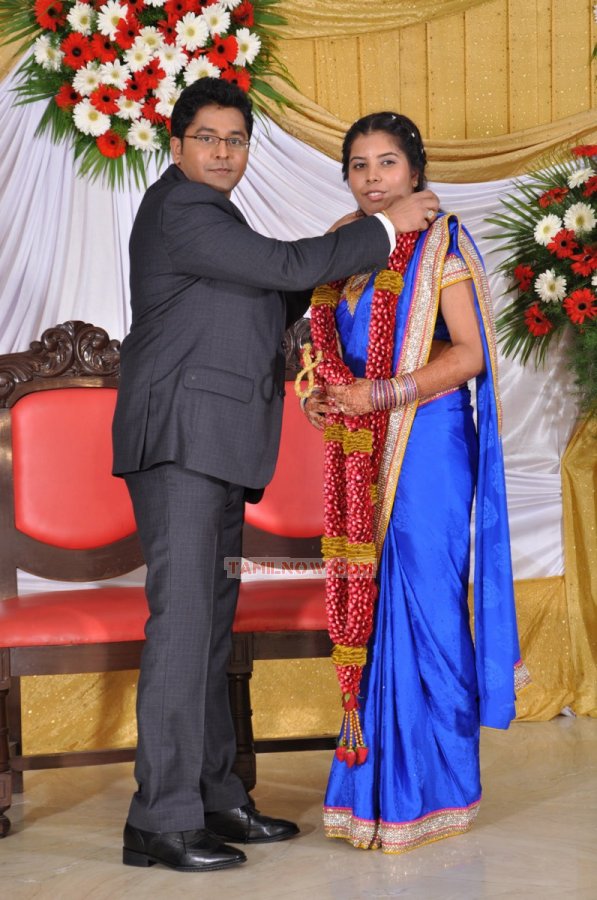 Producer M Ramanathan Daughter Reception Photos 8725