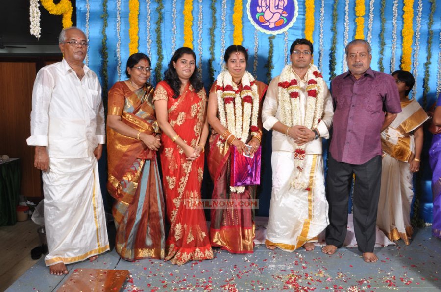 Producer M Ramanathan Daughter Wedding 6254