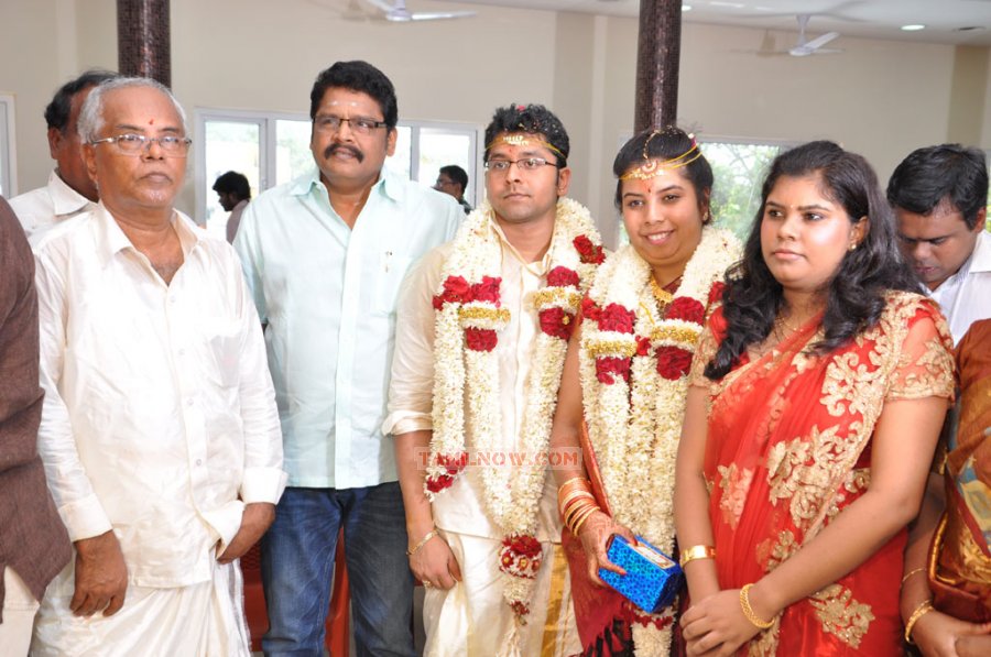 Producer M Ramanathan Daughter Wedding Photos 8133