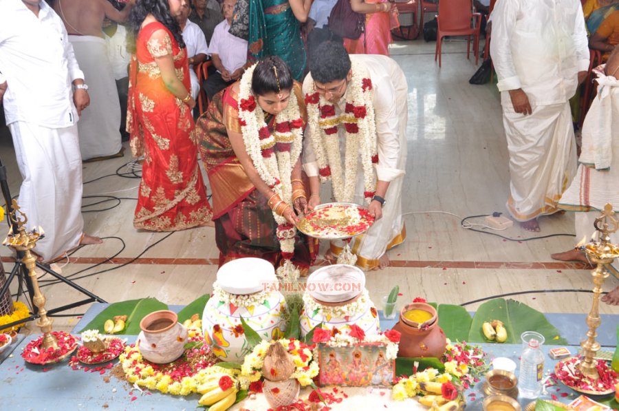 Producer M Ramanathan Daughter Wedding Stills 150