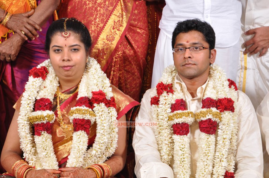 Producer M Ramanathan Daughter Wedding Stills 4113