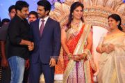 Ramcharan Teja Marriage Reception 3561