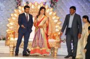 Ramcharan Teja Marriage Reception 3577