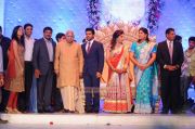 Ramcharan Teja Marriage Reception 6280