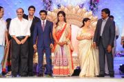 Ramcharan Teja Marriage Reception 6418